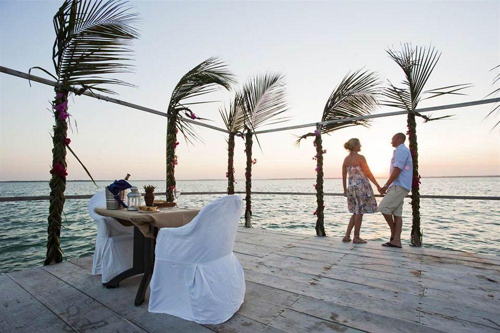 Hotel Karafuu Beach Resort Pingwe Zewnętrze zdjęcie